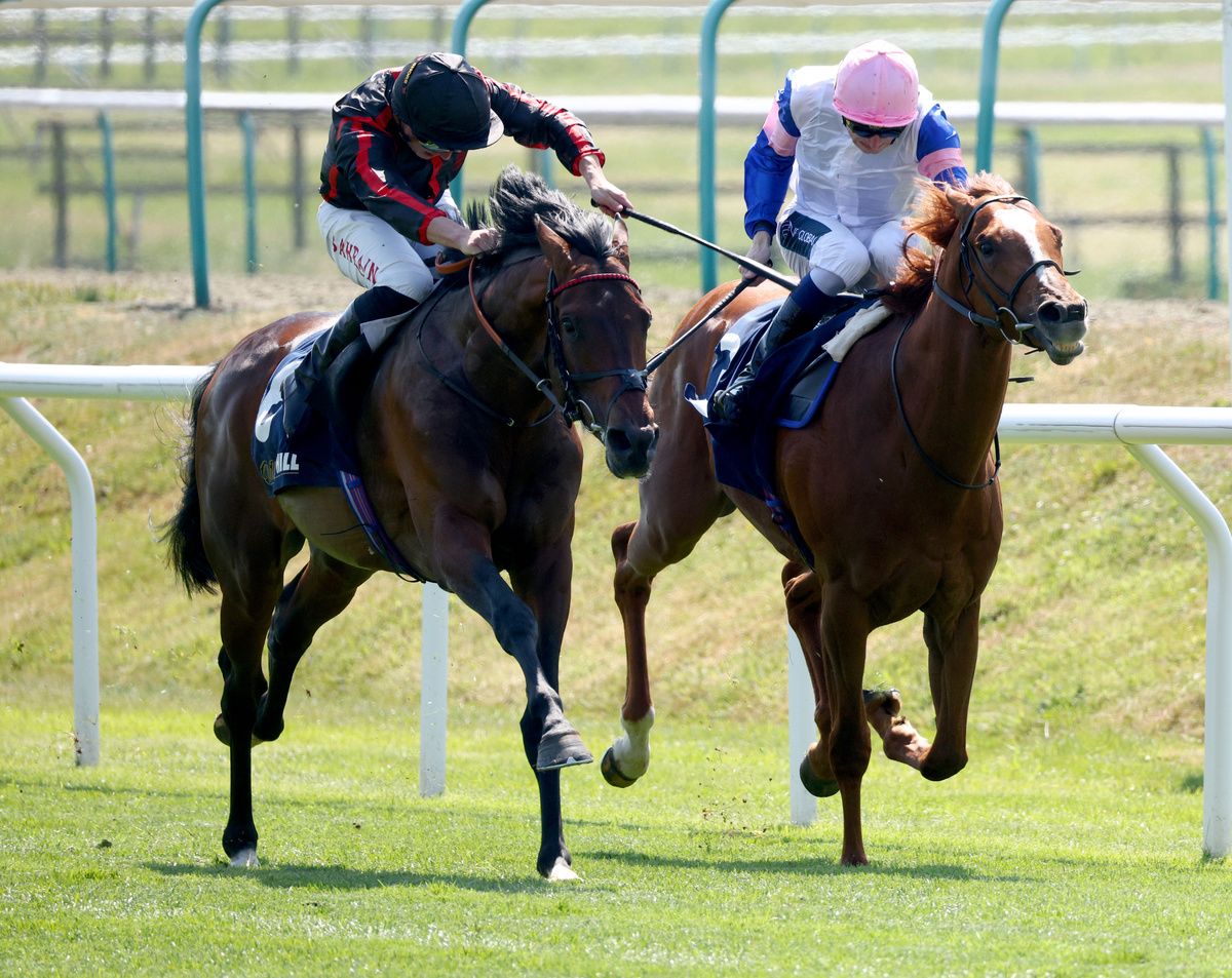 Maltese Cross (nearest) beats Bay Of Brilliance