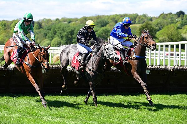 Local News and Josh Williamson (right) jump the last