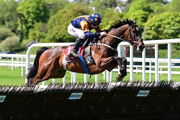 Somersby Roost and Phillip Enright