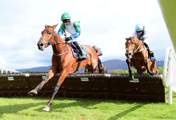 Hi Ho Idaho (left) leads Splendid Fellow