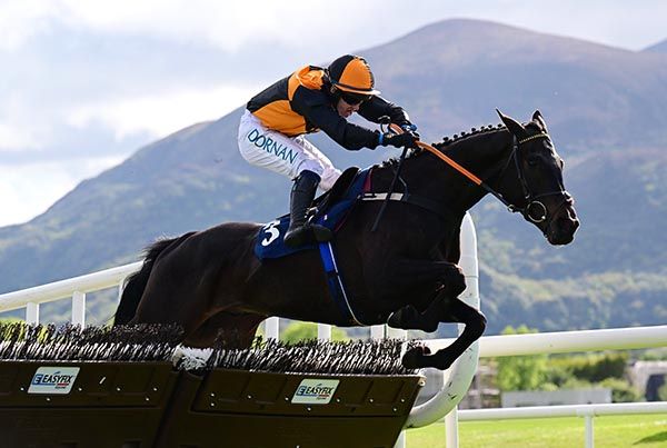 Midnight Jet and Darragh O Keeffe jump the last