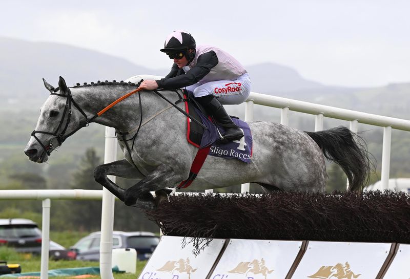 Speculateur an easy winner for Sam Ewing