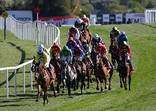 Switch From Diesel and Keith Donoghue lead the pack