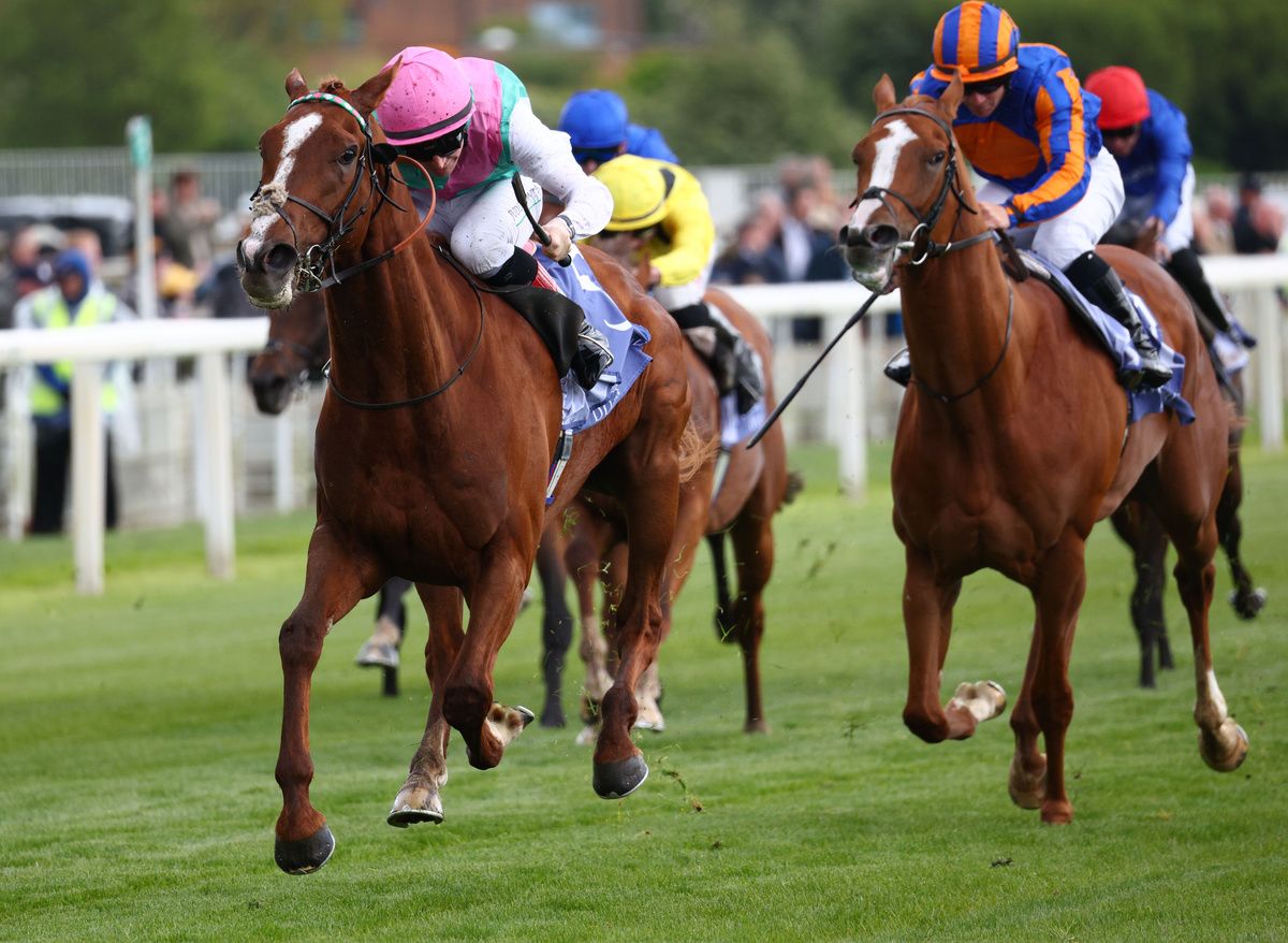 Item (left) won last week's Dante Stakes under Colin Keane 