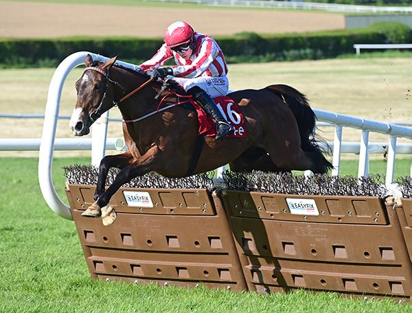 Hob's Angel and Josh Williamson