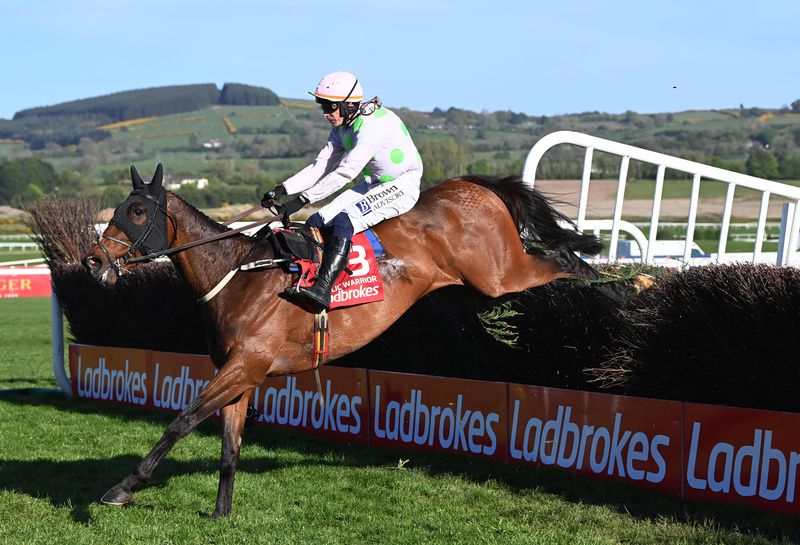Punchestown 29-4-26 Gaelic Warrior and Paul Townend win the Punchestown Gold Cup (Grade 1) for owner Rich Ricci and trainer Willie Mullins(Healy Racing)