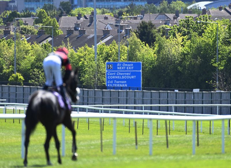 Leopardstown 