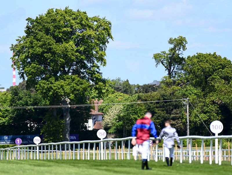 Fast Ground at Leopardstown