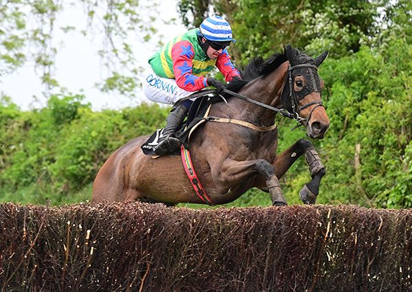 Shellrunforbriggs and Darragh O'Keeffe 