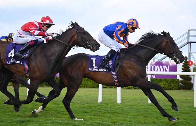Scandinavia holds Happy Pharoah