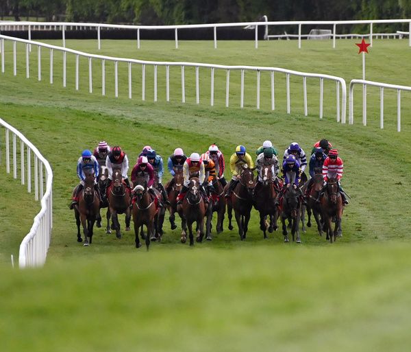 Punchestown 