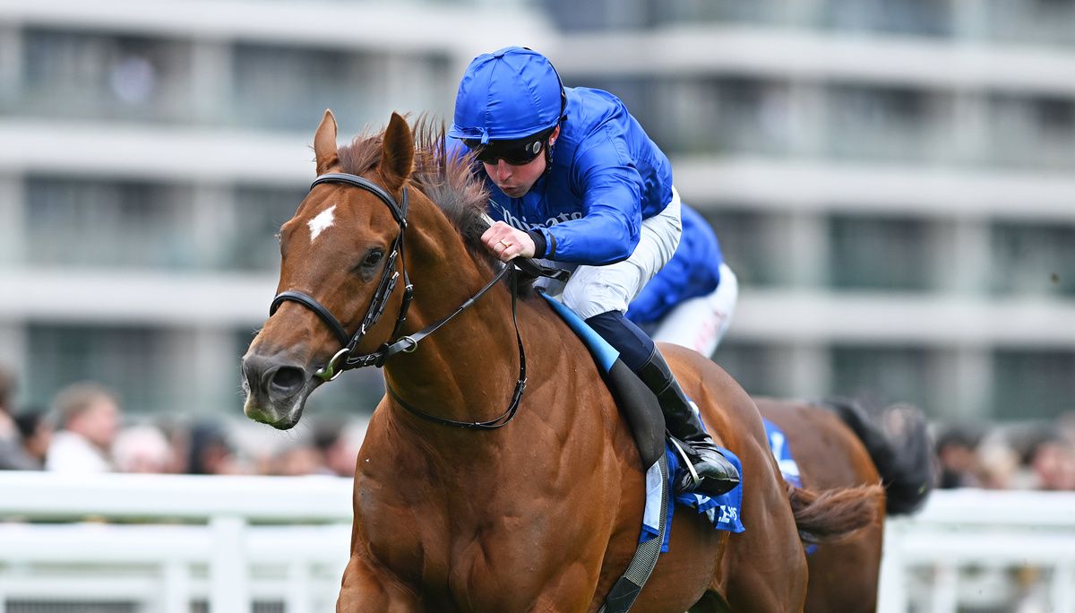 Notable Speech and William Buick 