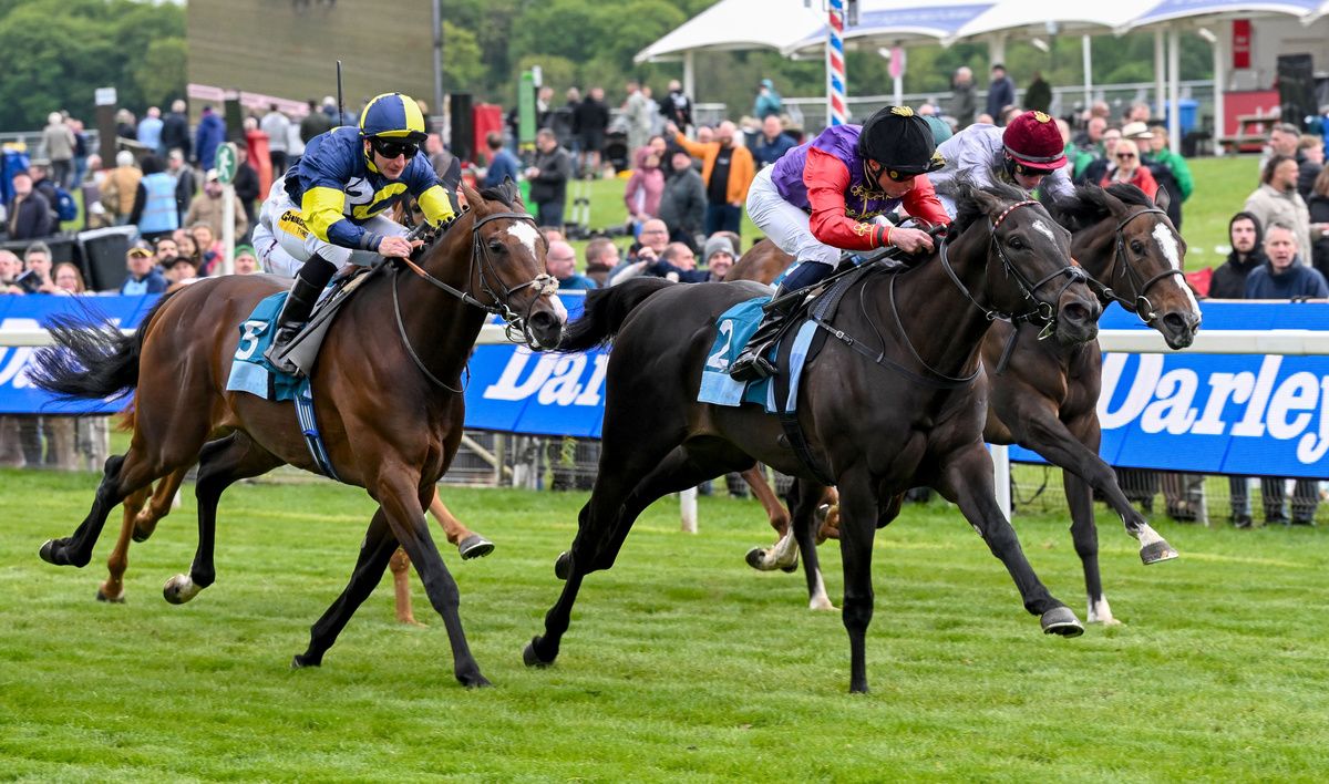 Portcullis and William Buick win the Darley EBF  Confined  Novice Stakes at York 15.05.26 Healy Racing