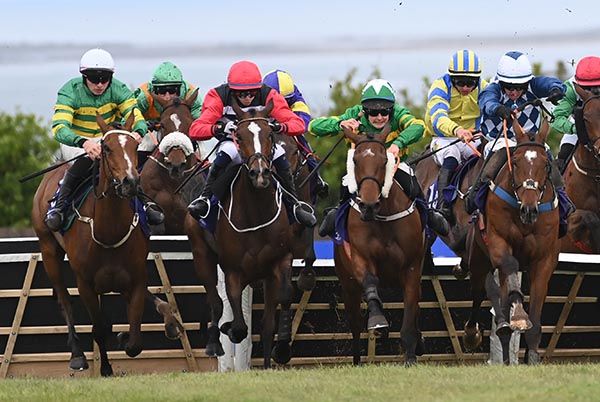 Teenage Kiss (cheekpieces) comes between horses with her challenge