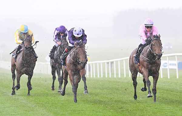 Your Song and Hollie Doyle (right) beat What A Girl Wants (centre) in a downpour