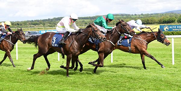 Totally Puzzled (rail) holds off Elmakaya (centre) and Mai Dahlia 