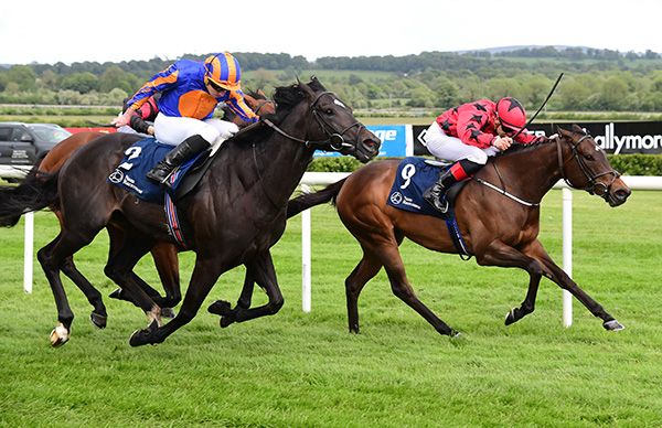 Wannabe Royal and Ronan Whelan (far side) hold off Expanded 