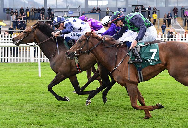Havana Anna sticks her head out for victory under Gavin Ryan
