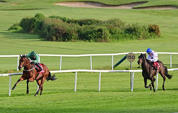 Ballymagreehan (Luke McAteer) wins easily