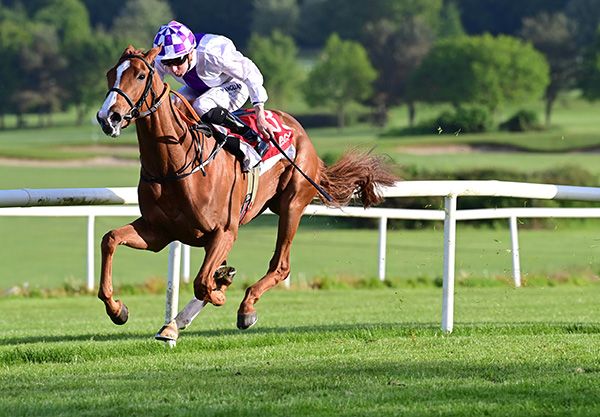 Sparan Nua and Declan McDonogh
