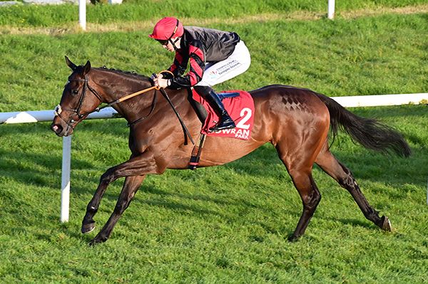 Earthsong and Billy Lee