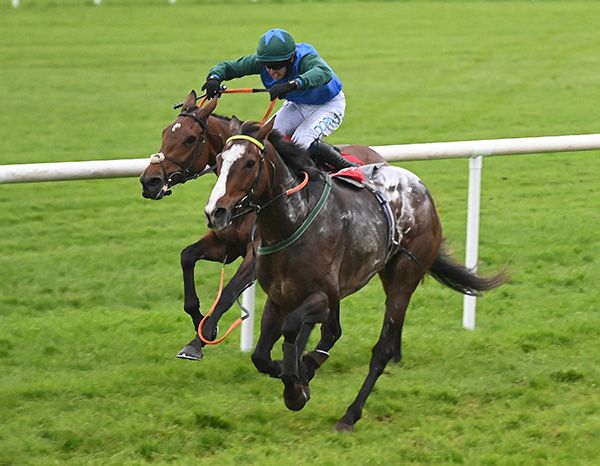 Nastya approaches the line with the riderless Attaboyarchie