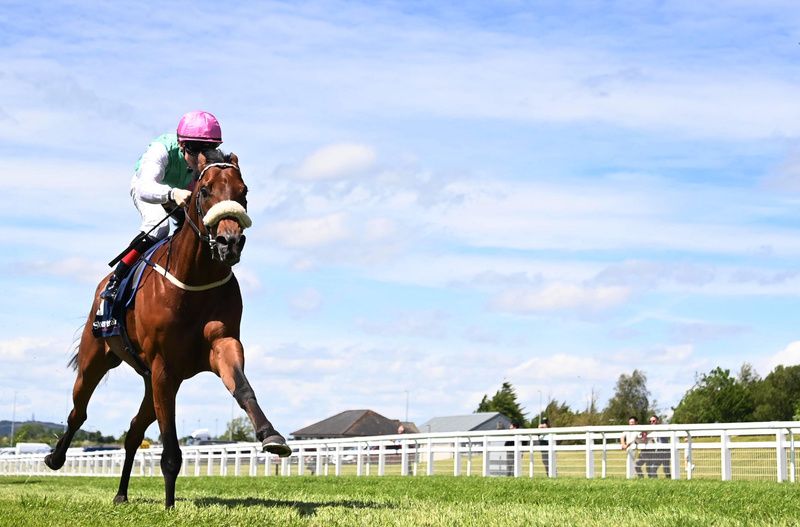 Purview comes home in glorious isolation