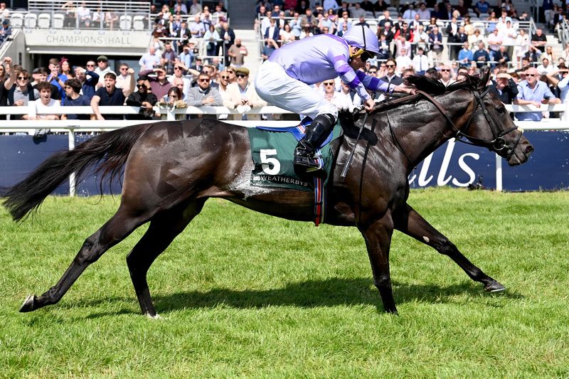 Comanche Brave in full flight near the winning post