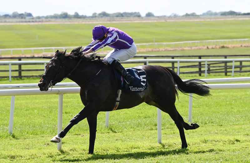 Gstaad heads for home in the Irish 2,000 Guineas