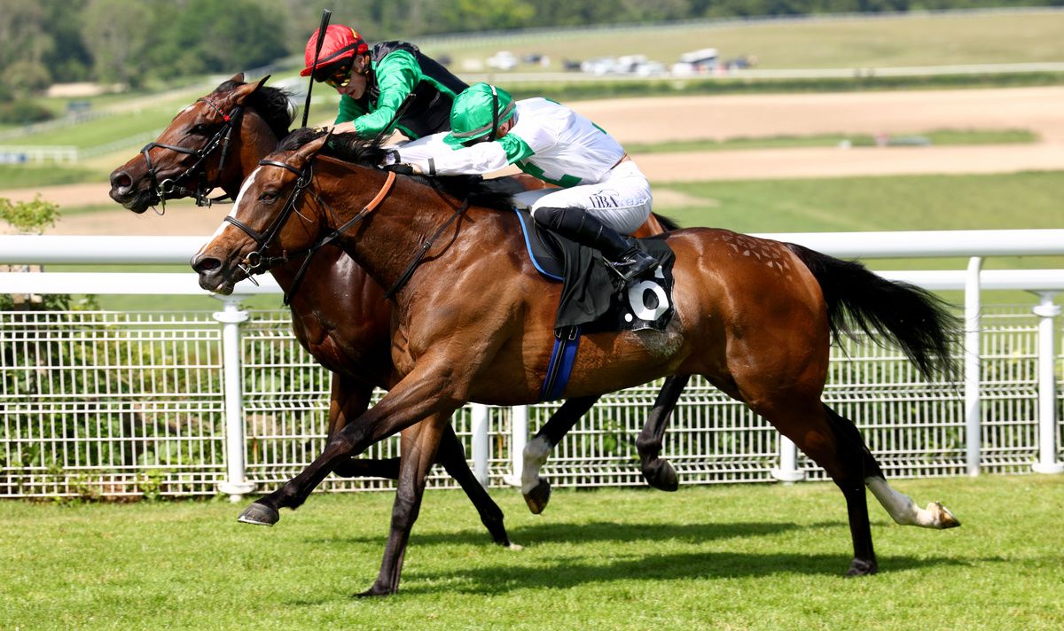 Inis Mor will be aimed at the Prix de Diane at Chantilly