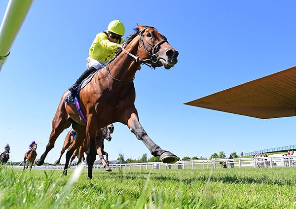 Almaqam and Kieran Shoemark 