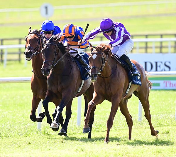  Precise and Wayne Lordan (right) head True Love (centre) and Albashiri 