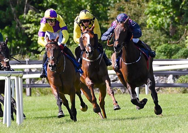 Daddy Long Legs (centre) and Paul Townend