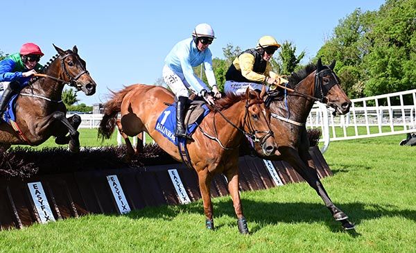 Tinto De Verano (right) and Cian Quirke 