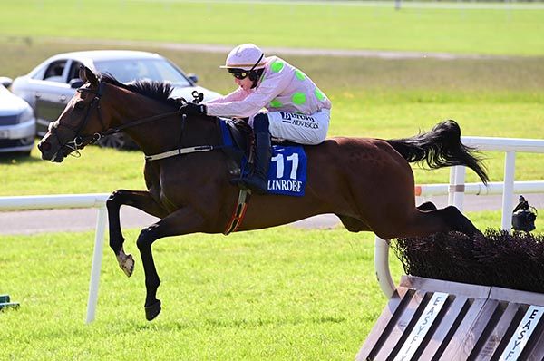 Witches Familiar and Paul Townend 