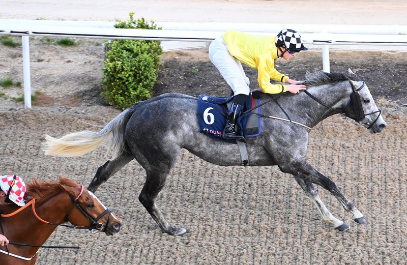 Cuban Grey and Luke McAteer 
