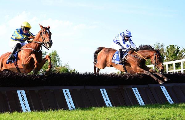 Paul's Dream (right) heads Astelia at the last