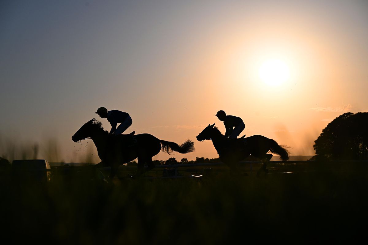Ballinrobe 26-May-2026The scene for the final race of the evening won by Fiveandahalf with runners pictured against a setting sun at the Mayo venue.Healy Racing