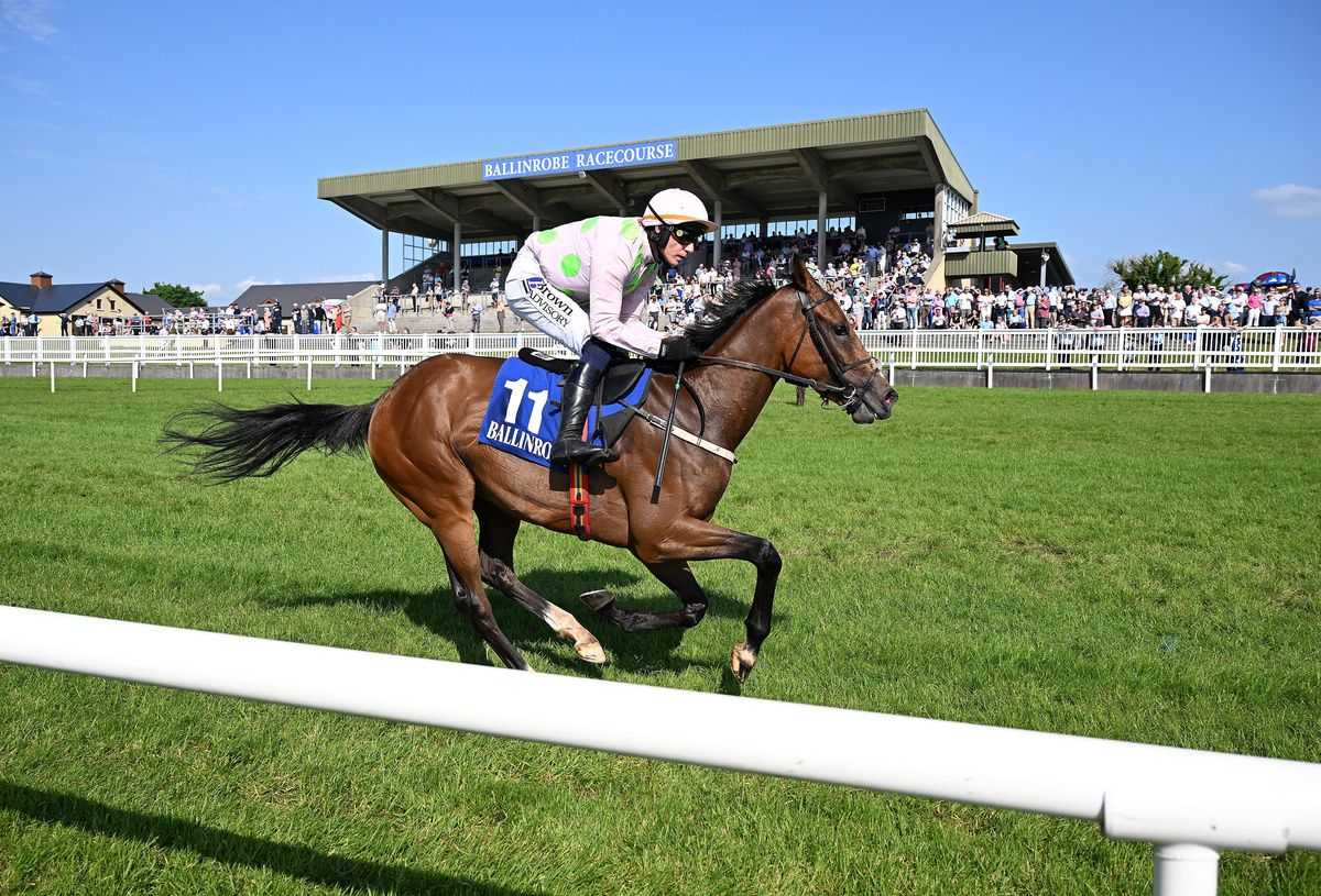Witches Familiar and Paul Townend win for trainer Willie Mullins Healy Racing