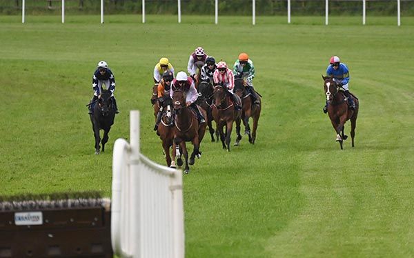 Minella Diamond (right, racing widest)