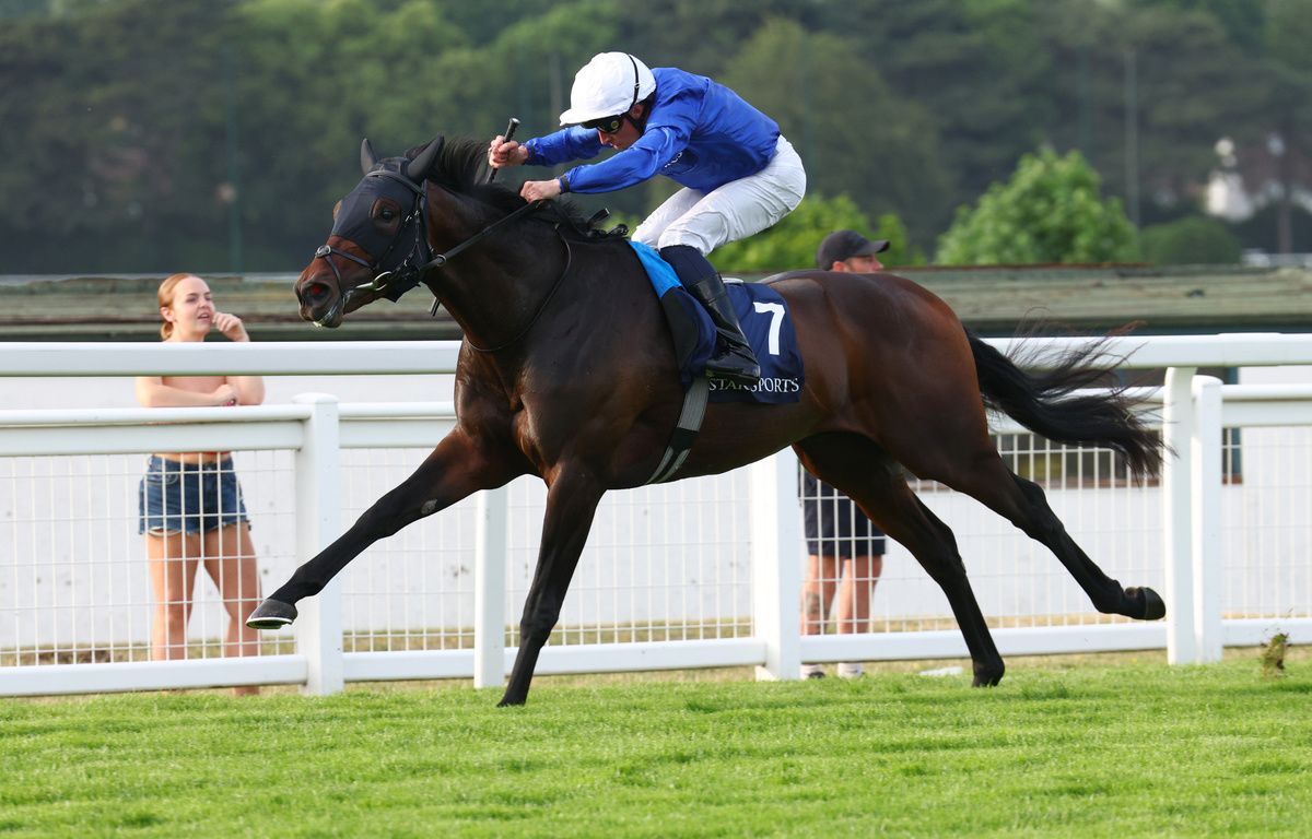 Talk Of New York (seen winning at Sandown)