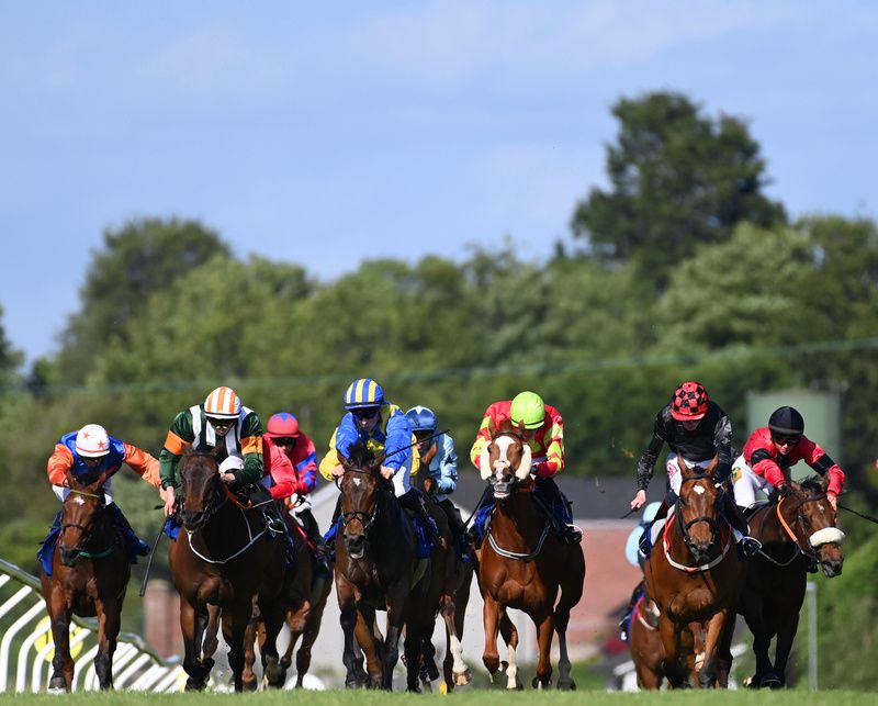 Faoladh, blue and yellow striped cap, comes through to lead