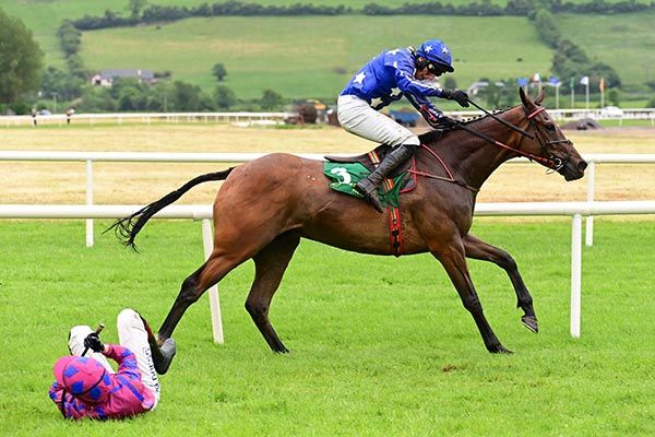 Burning Ability and Eoin Walsh race away from fallen jockey Ana McGuiness at the final flight