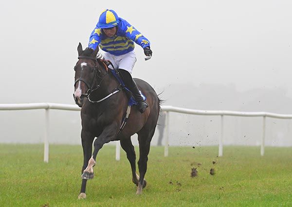  Gortnaclea Castle and Adam Ryan 