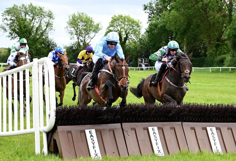 Mento and Shane O Callaghan (Light Blue)