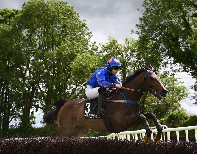 Local News and Alan O'Sullivan 
