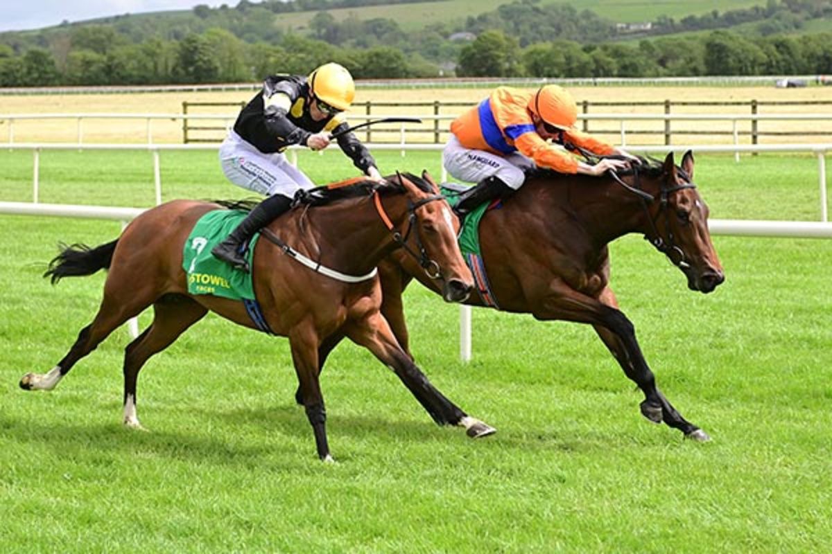 Big Negotiator (nearest) seen finishing second at Listowel 