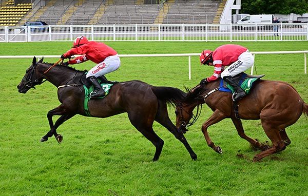 Jesse Evans and Sam Ewing capitalise on Blood Destiny's final fence mistake