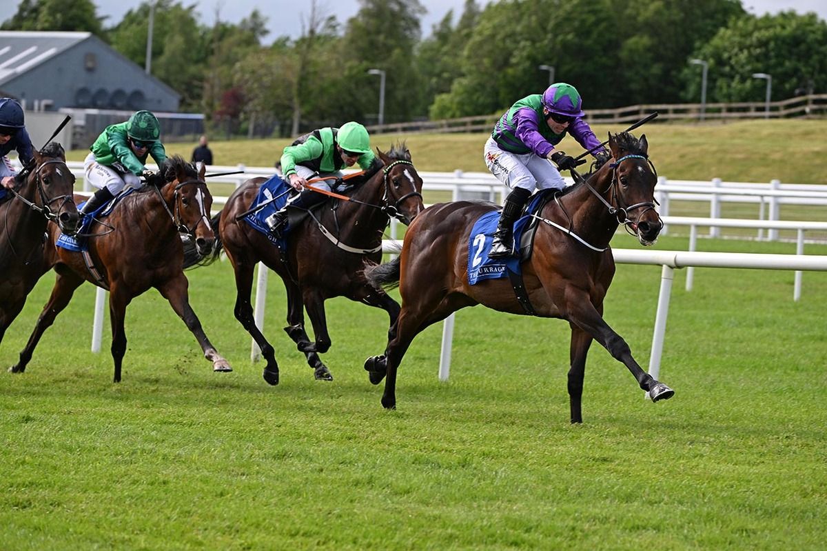 Celeron and Jamie Powell win for trainer Michael O'Callaghan 