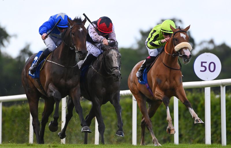 Bella Isabella (centre) comes through with Playin Cool (left ) to head Great Mover 